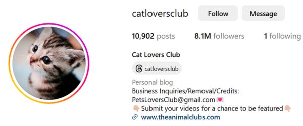Cat Lovers Club