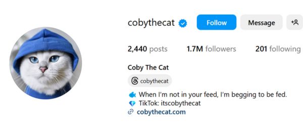 Coby the Cat
