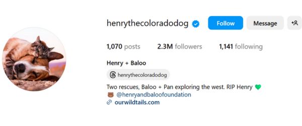 Henry & Baloo