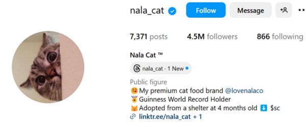 Nala Cat 